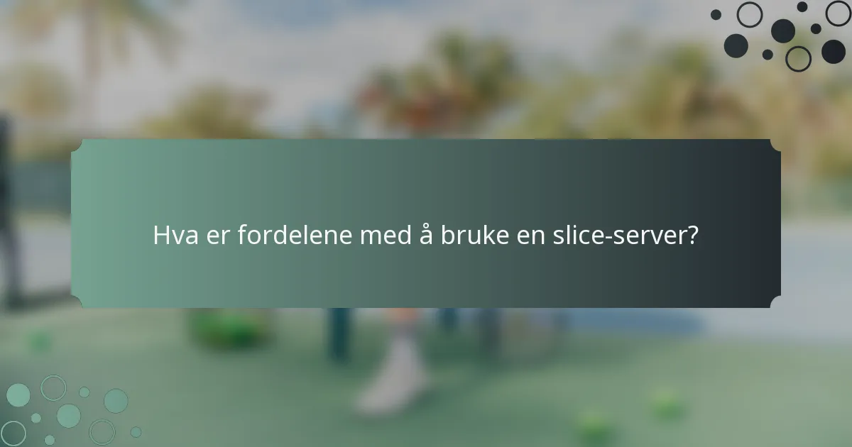 Hva er fordelene med å bruke en slice-server?