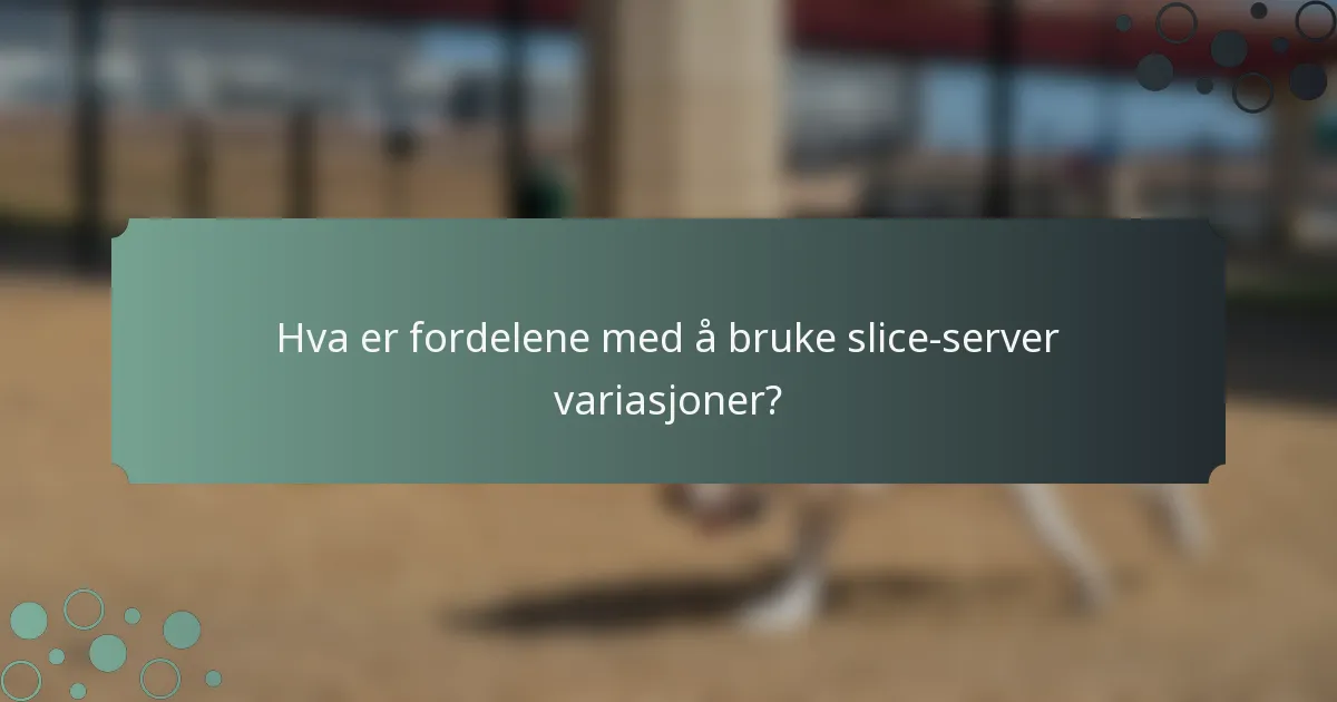 Hva er fordelene med å bruke slice-server variasjoner?