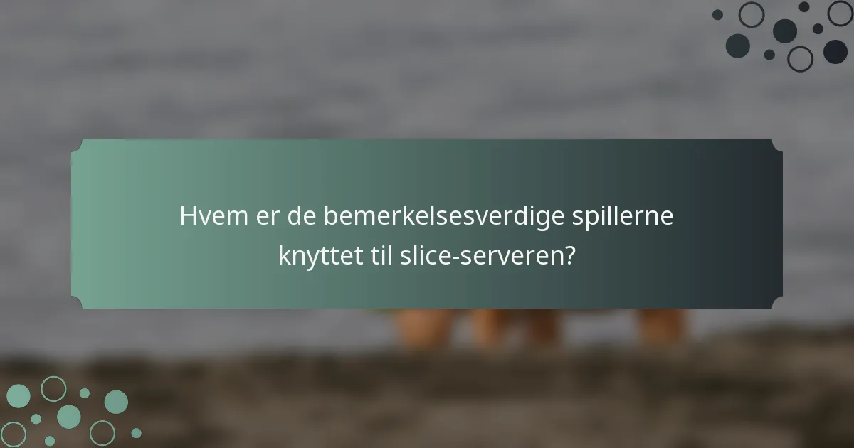Hvem er de bemerkelsesverdige spillerne knyttet til slice-serveren?
