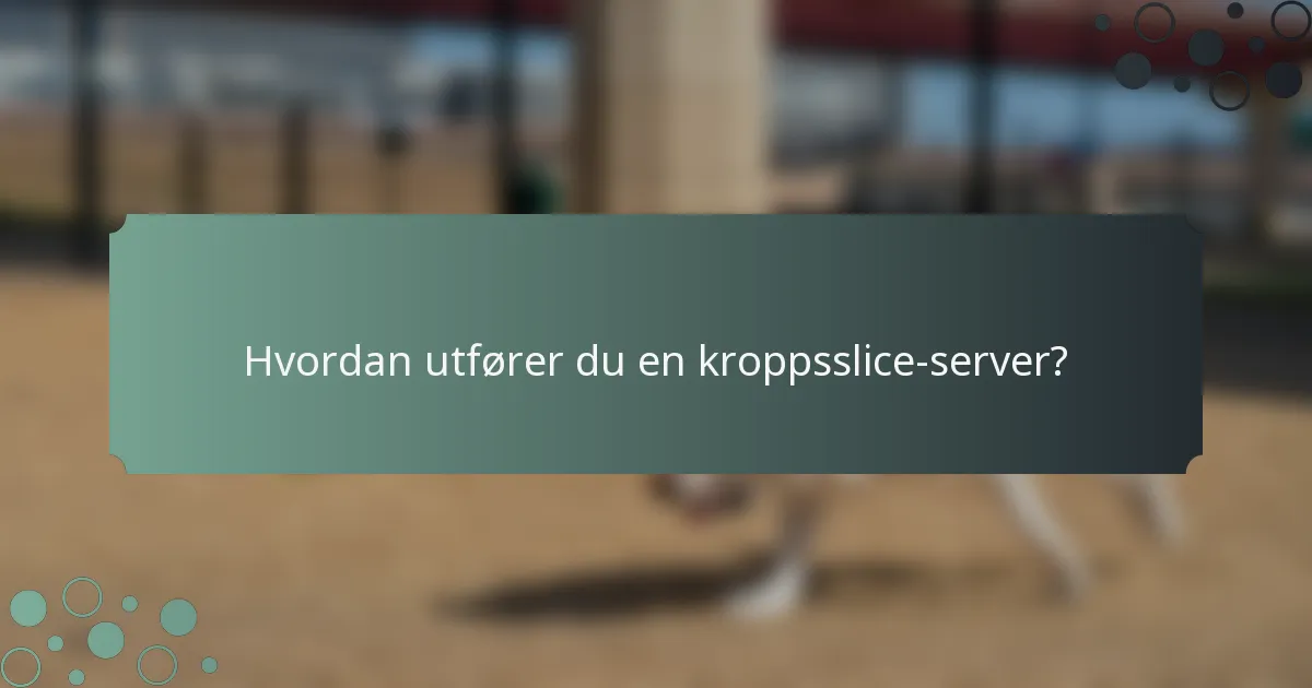 Hvordan utfører du en kroppsslice-server?
